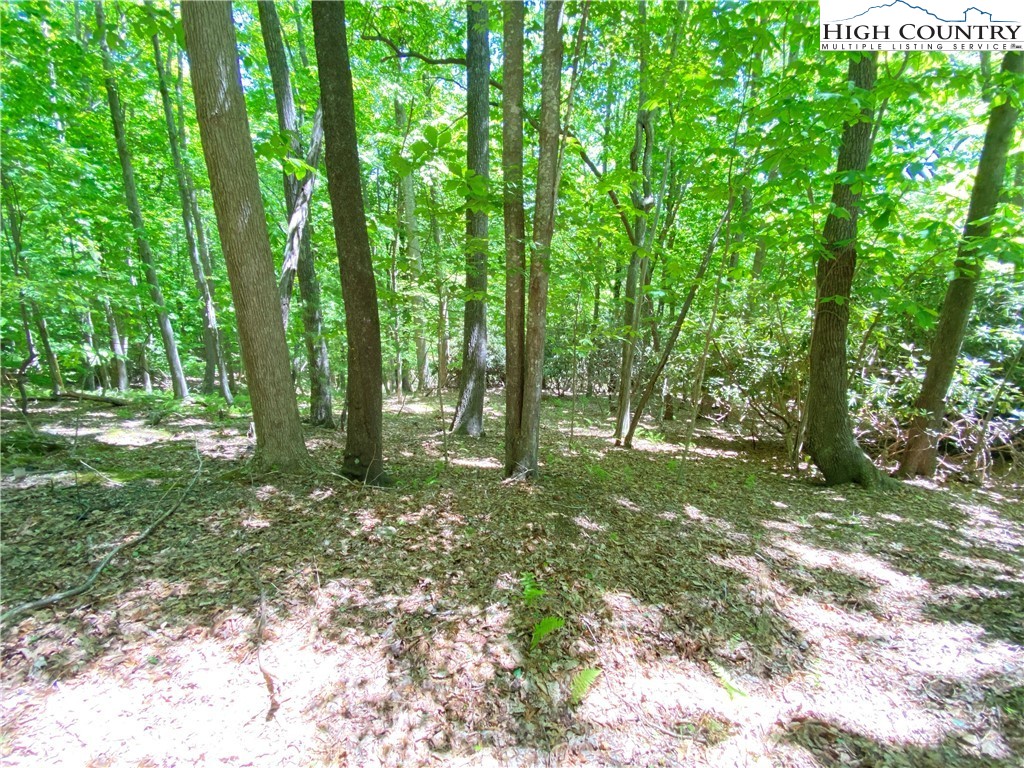 Lot 3 Little Laurel Road Boone, NC 28607 - Photo 3 of 4 Gallery Image 3