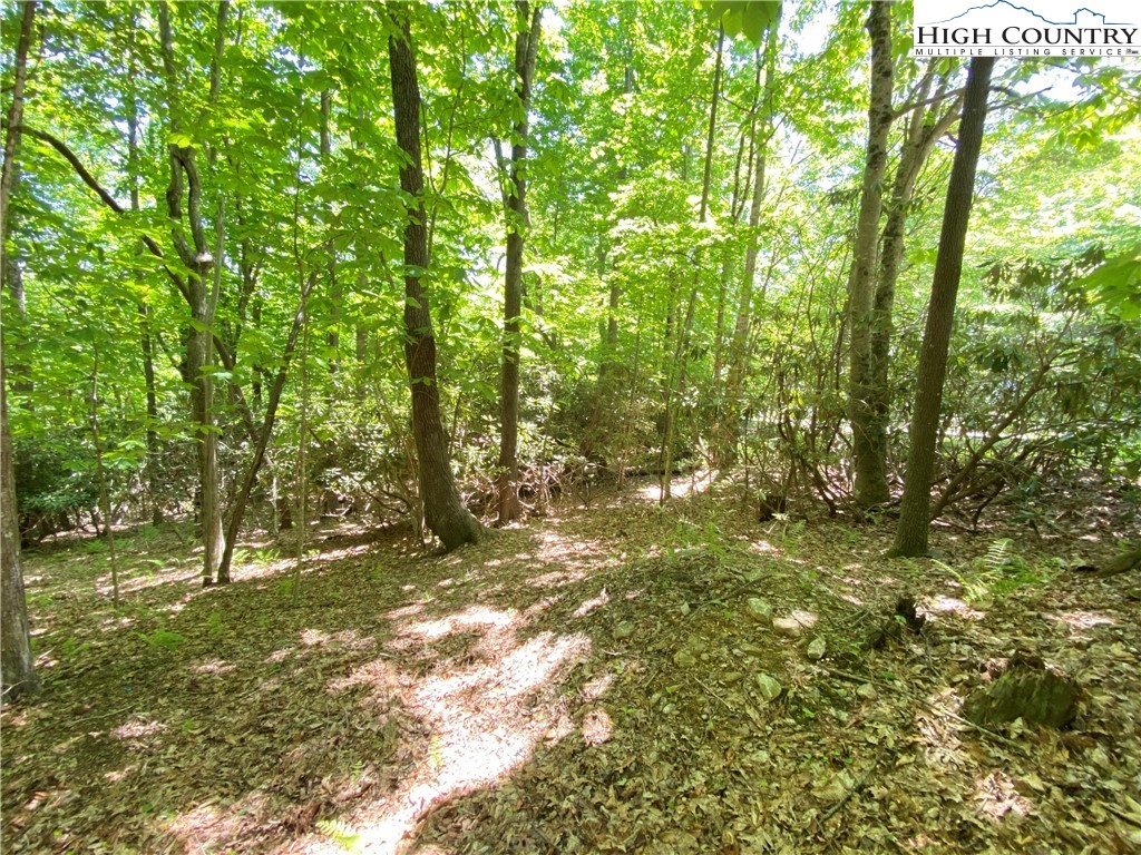 Lot 3 Little Laurel Road Boone, NC 28607 - Photo 4 of 4 Gallery Image 4