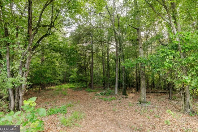 $1,250,000 | 706 Sam Bruce Road, Royston, GA 30662