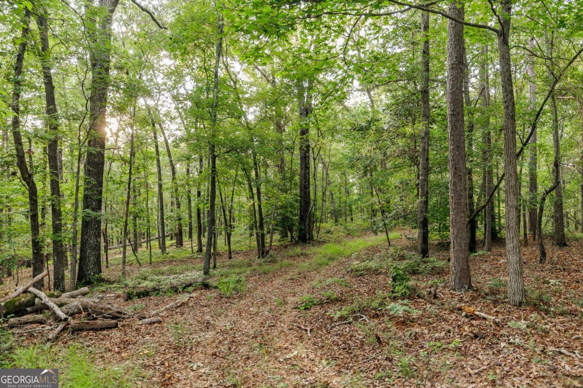 706 Sam Bruce Road Royston, GA 30662 - Photo 72 of 92