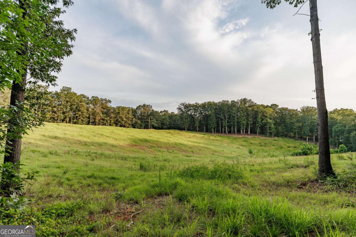 706 Sam Bruce Road Royston, GA 30662 - Photo 73 of 92