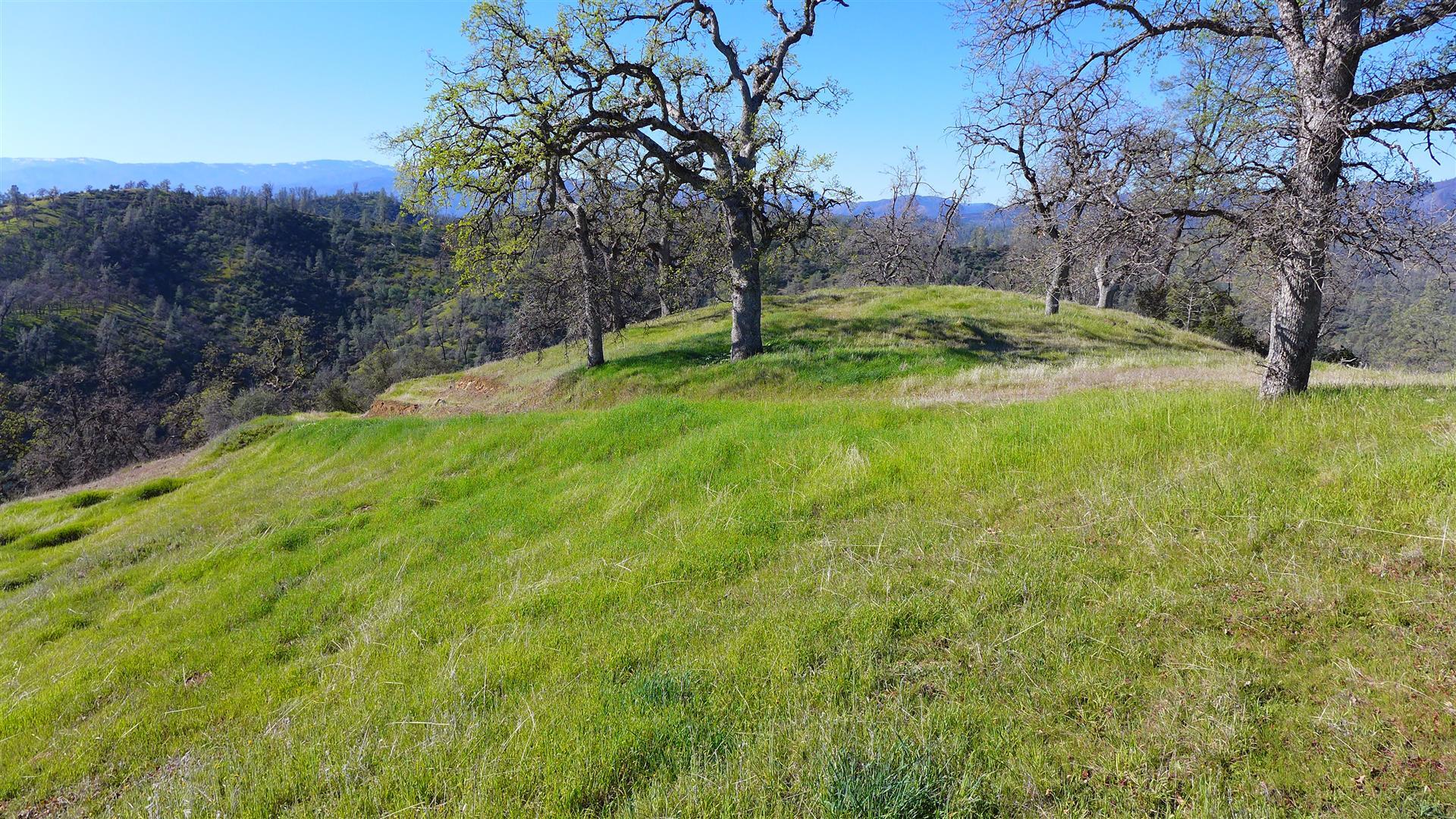 Lot 229 Yolla Bolly Road Igo, CA 96047 - Photo 60 of 66 P1070278