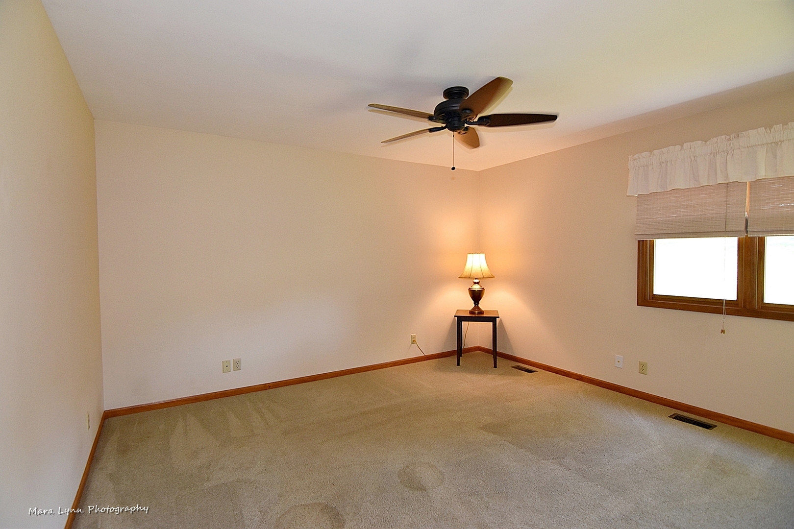 1508 Weber Road St. Charles, IL 60174 - Photo 17 of 32
