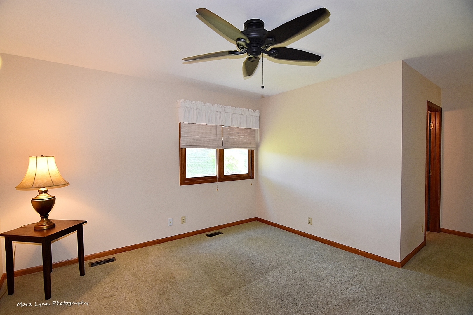 1508 Weber Road St. Charles, IL 60174 - Photo 18 of 32