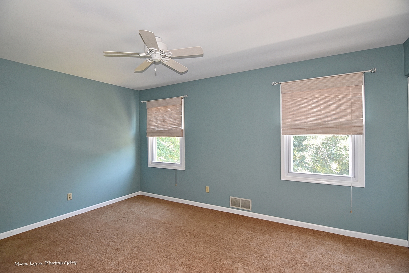 1508 Weber Road St. Charles, IL 60174 - Photo 21 of 32