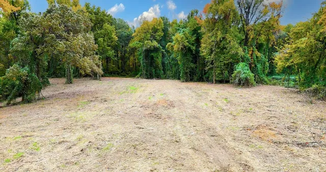 a wooden bench with view of trees