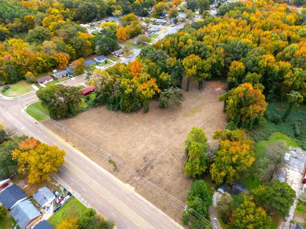 a view of a garden with flowers