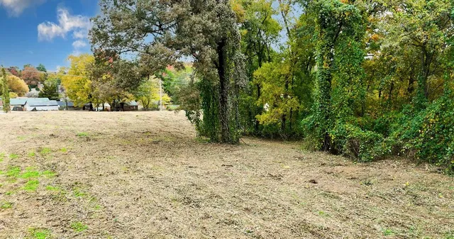a view of an empty room with a trees