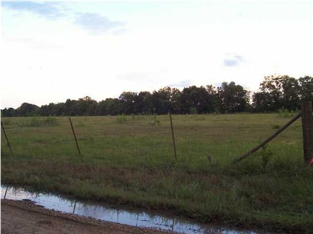 0 Thomassee Road Arnaudville, LA 70512 - Photo 4 of 7 Additional Photo