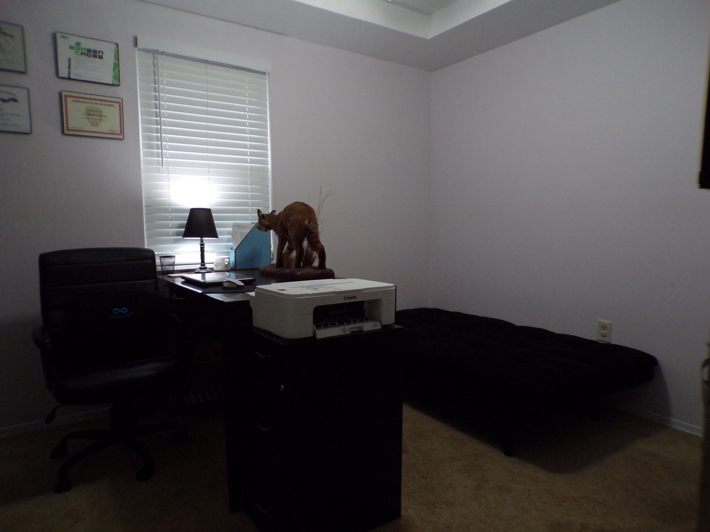 1877 Engle Road Augusta, GA 30906 - Photo 8 of 14 Office 2nd bedroom