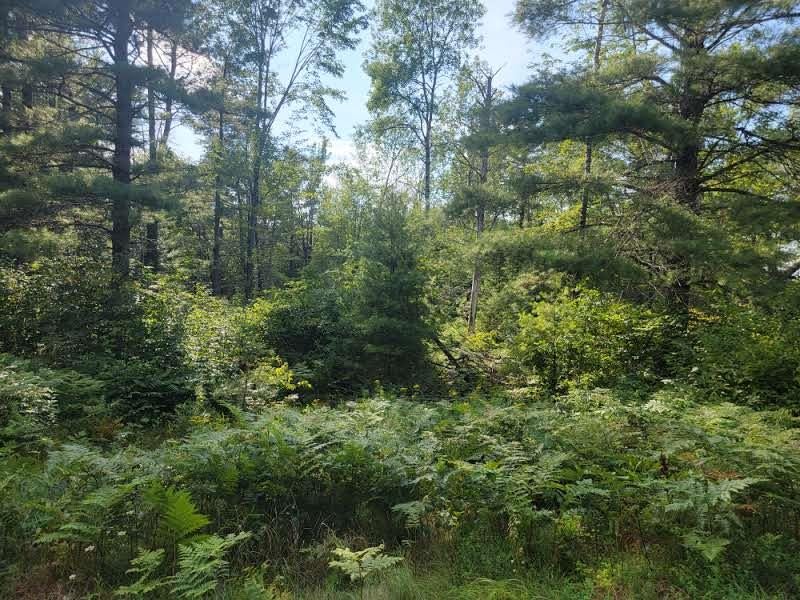 On Loon Lake Road, Unit LOT 9 Eagle River, WI 54521 - Photo 2 of 10 Gallery Image 2