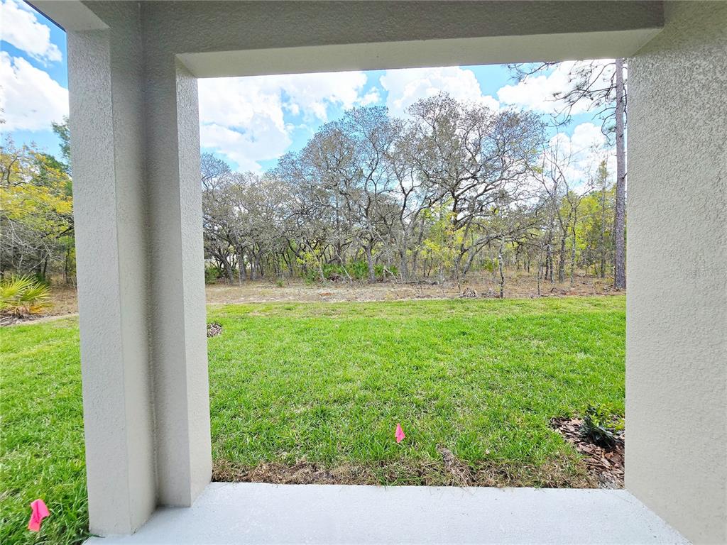 87 Vinca Street Homosassa, FL 34446 - Photo 27 of 92