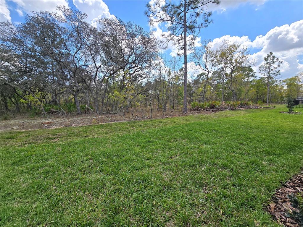 87 Vinca Street Homosassa, FL 34446 - Photo 28 of 92