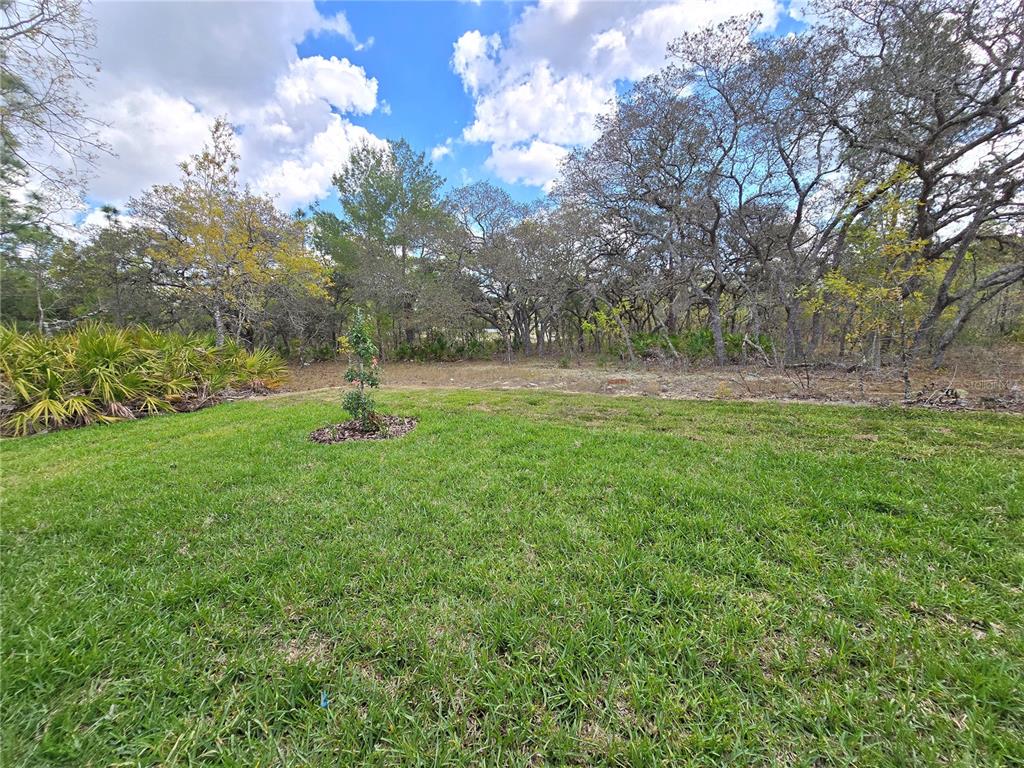 87 Vinca Street Homosassa, FL 34446 - Photo 29 of 92