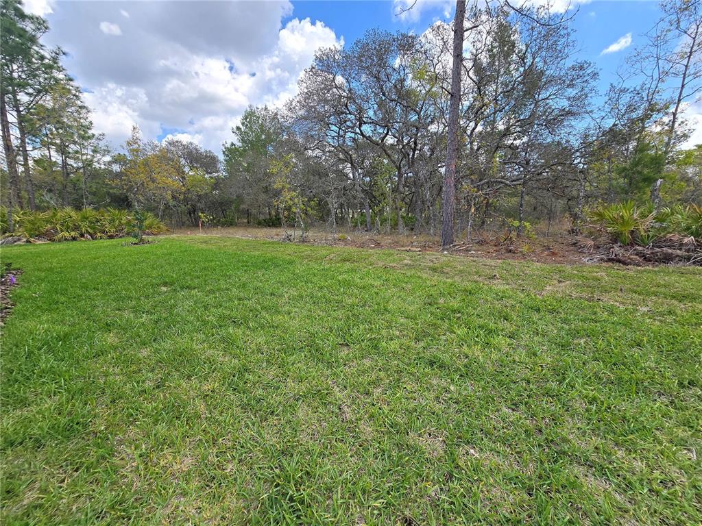 87 Vinca Street Homosassa, FL 34446 - Photo 31 of 92