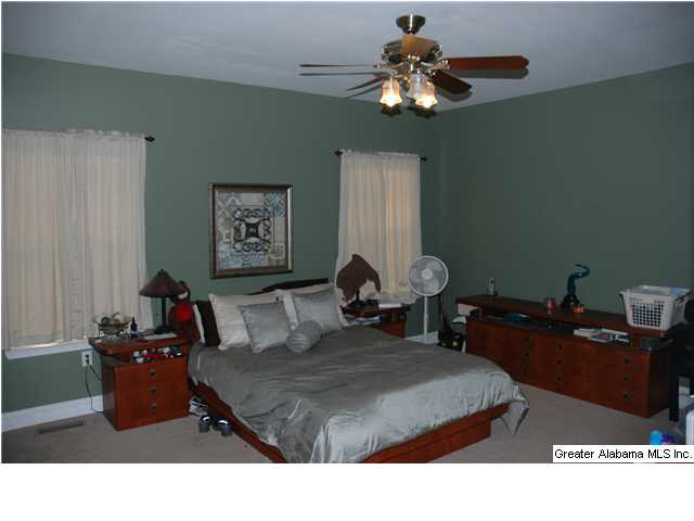 7684 Highway 11 Springville, AL 35146 - Photo 6 of 17