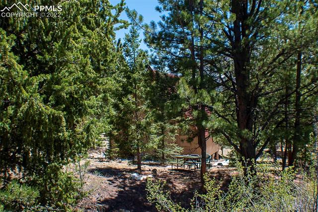 441 Wagonwheel Road Guffey, CO 80820 - Photo 7 of 36 Gallery Image 7