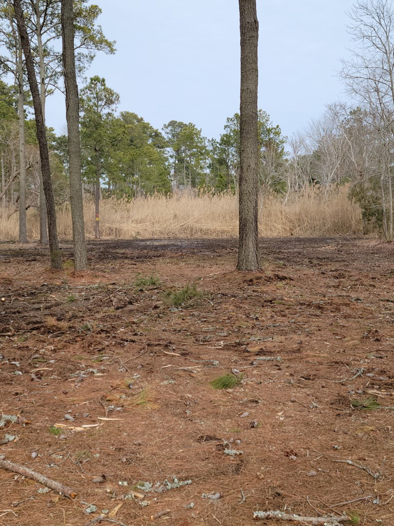 Lot 16 Wayne Road, Unit 16A Chincoteague Island, VA 23336 - Photo 2 of 4