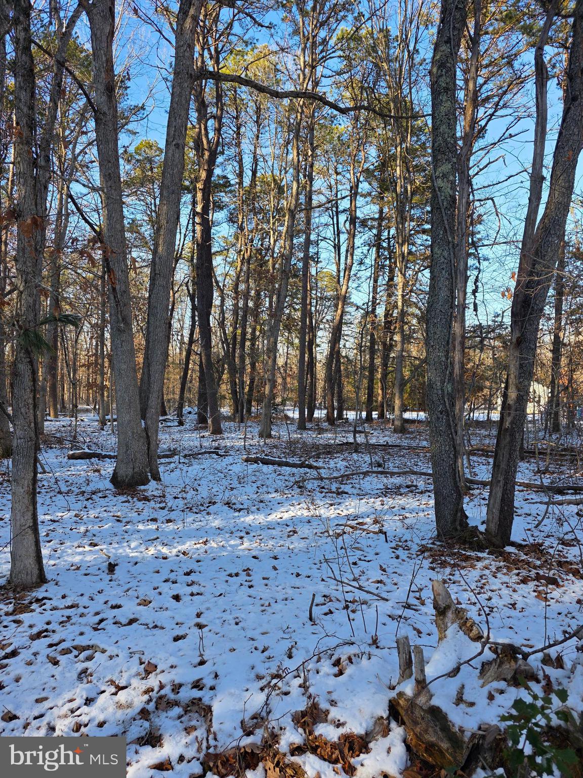 0 Payson Chesilhurst, NJ 08089 - Photo 4 of 5 a view of outdoor space with trees