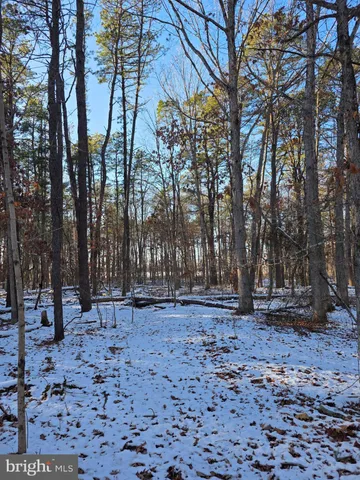 a backyard of a house with lots of trees