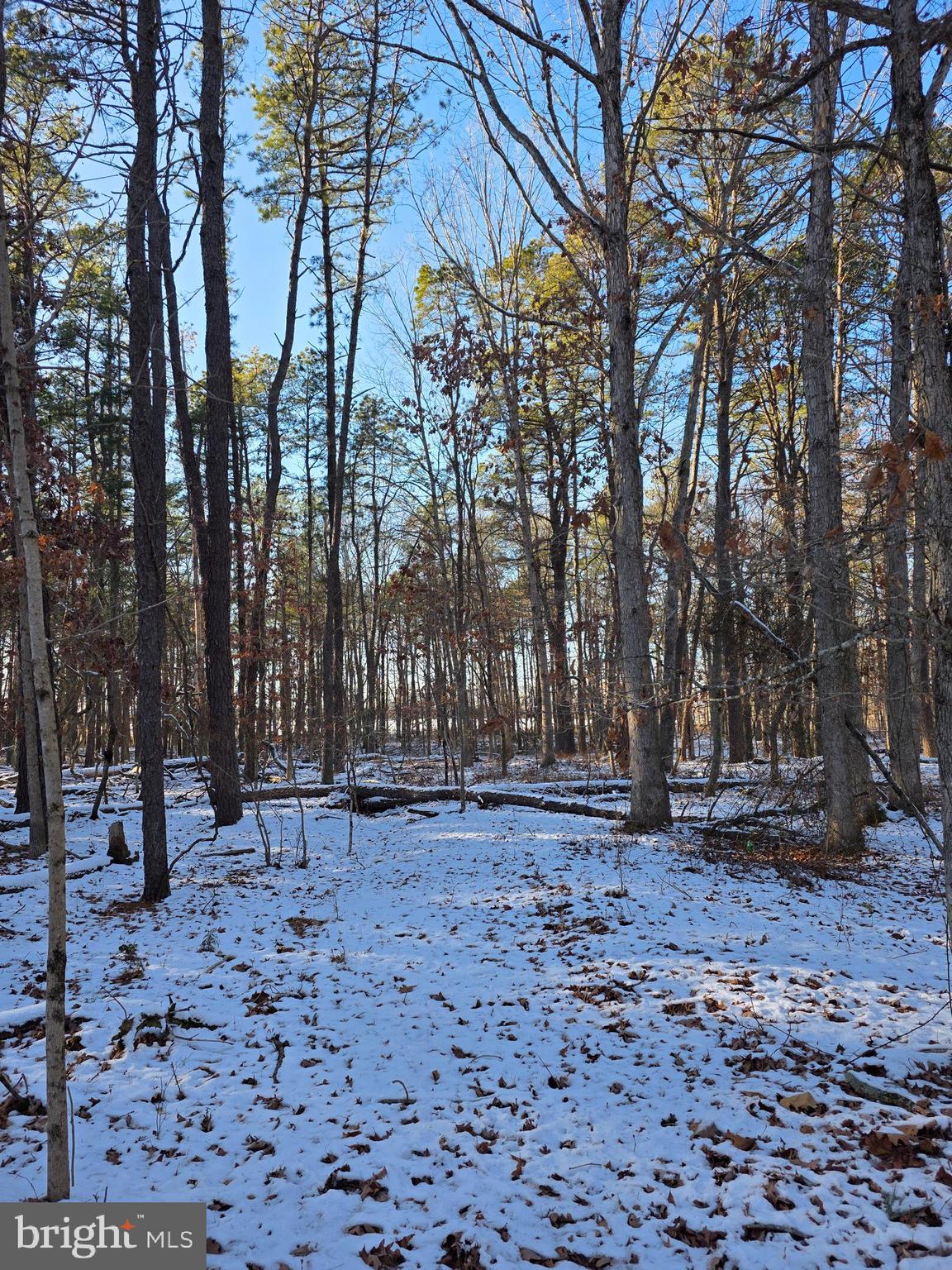 0 Payson Chesilhurst, NJ 08089 - Photo 5 of 5 a backyard of a house with lots of trees