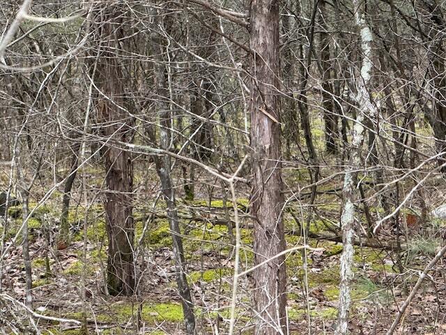 790 Rd Bronston Key Bronston, KY 42518 - Photo 16 of 27 image6