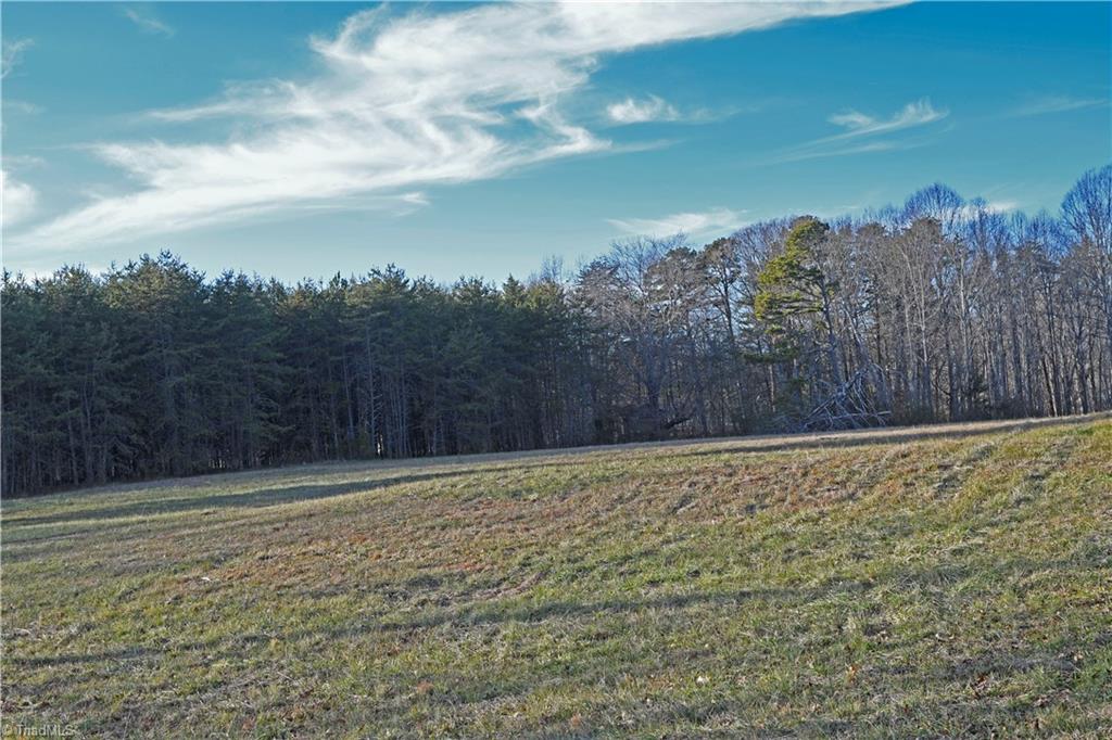 1038 Cromer Road King, NC 27021 - Photo 4 of 12 Gallery Image 4