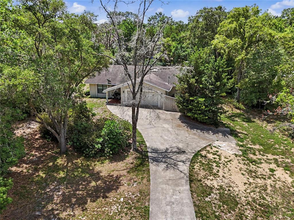 20250 Southwest 93rd Lane Road Dunnellon, FL 34431 - Photo 3 of 49