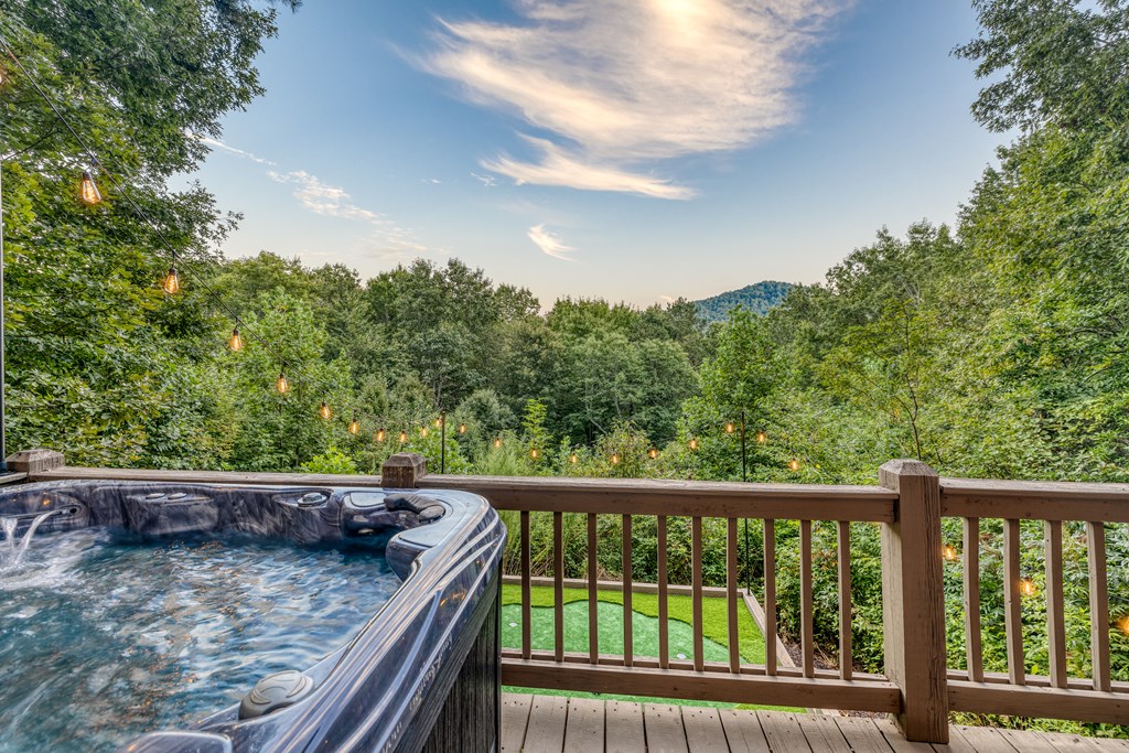 31 The Kings Court Cherry Log, GA 30522 - Photo 2 of 50