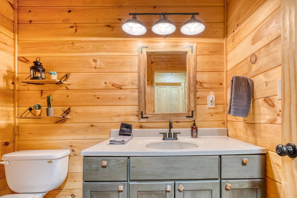 31 The Kings Court Cherry Log, GA 30522 - Photo 39 of 50 a bathroom with a sink and a mirror