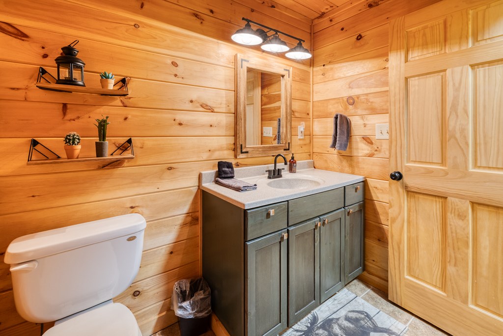 31 The Kings Court Cherry Log, GA 30522 - Photo 40 of 50 a bathroom with a sink toilet and shower
