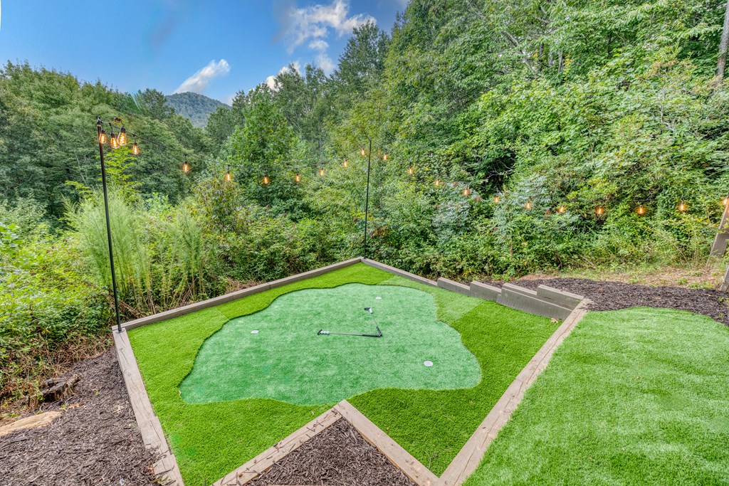 31 The Kings Court Cherry Log, GA 30522 - Photo 44 of 50 a view of a back yard of a house