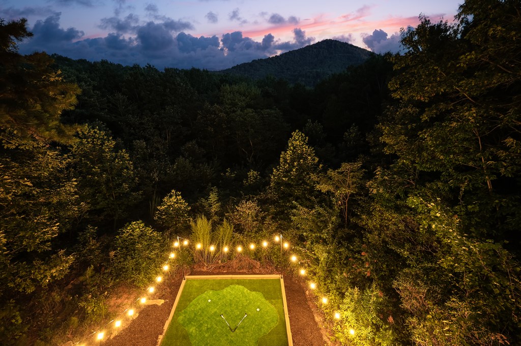 31 The Kings Court Cherry Log, GA 30522 - Photo 47 of 50 a view of a yard