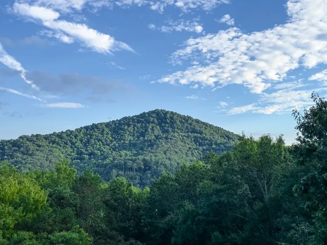 $569,000 | 31 The Kings Court, Cherry Log, GA 30522