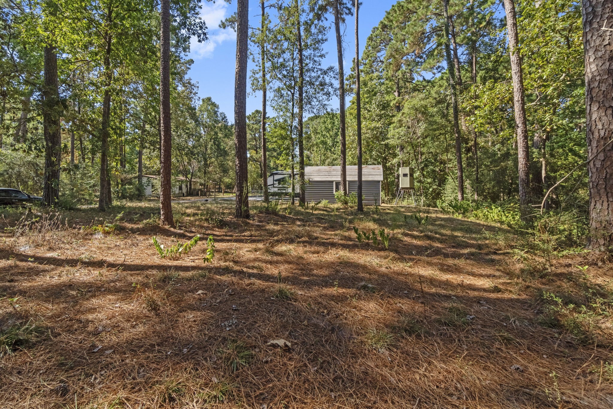 384 Phillips Road Onalaska, TX 77360 - Photo 26 of 28 2 additional lots with a few trees available to purchase with subject property