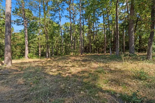 $89,000 | 384 Phillips Road, Onalaska, TX 77360