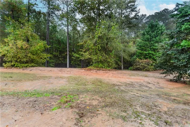 a view of a yard with a tree