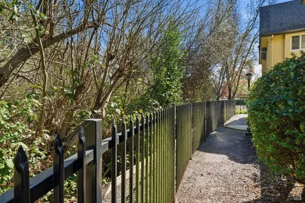 a view of path along with trees