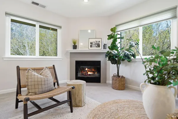 a living room with furniture and a potted plant