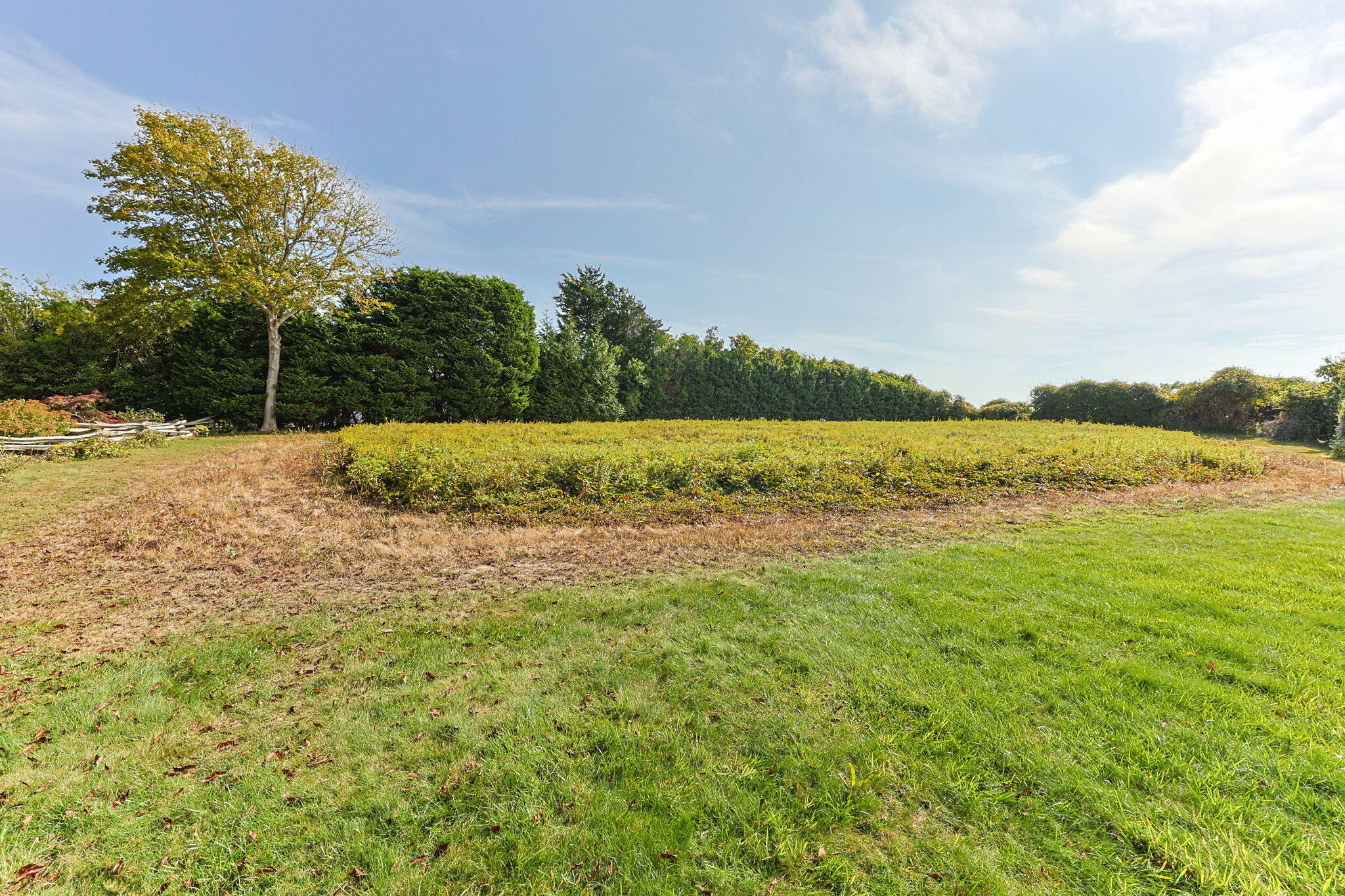 85 Cedar Street Chatham, MA 02633 - Photo 67 of 89 79-web-or-mls-85-cedar-st