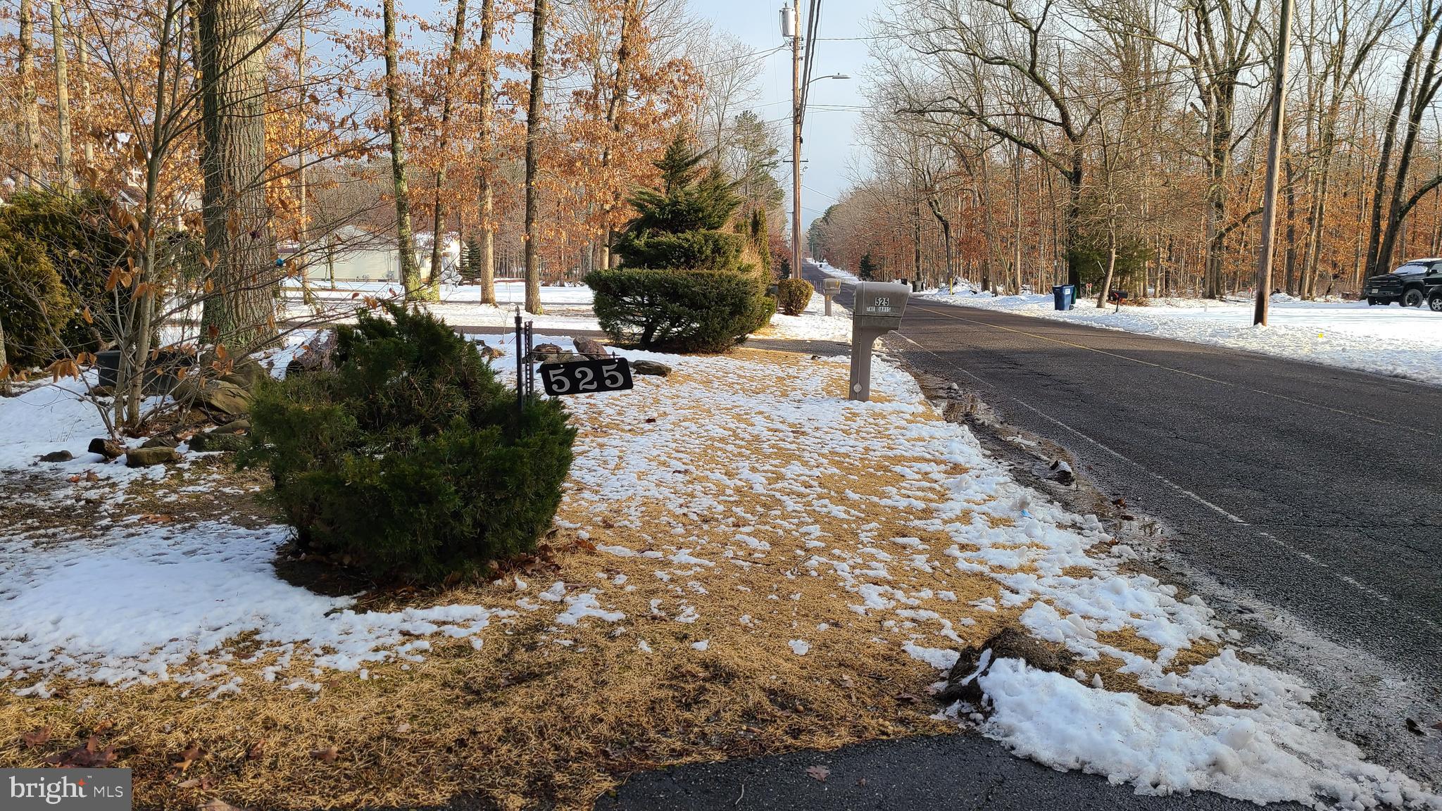 525 Jackson Road Williamstown, NJ 08094 - Photo 4 of 14 a view of street with trees