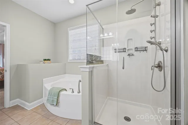 a bathroom with a shower a sink and a mirror