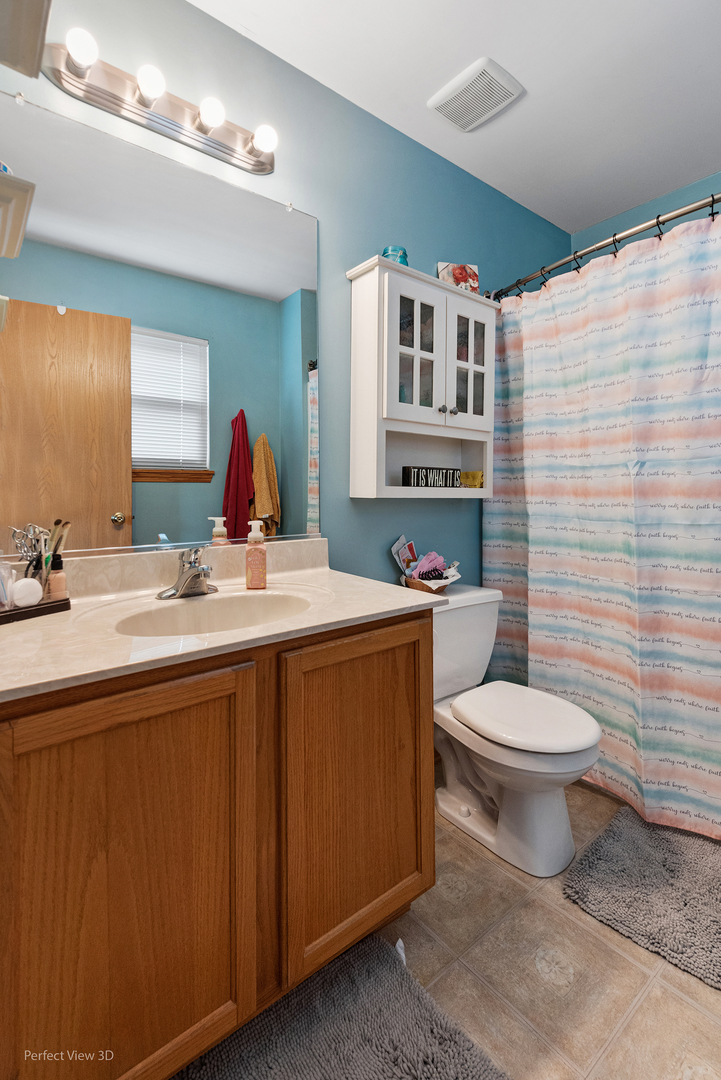 5802 Emerald Pointe Drive Plainfield, IL 60586 - Photo 12 of 28 a bathroom with a sink a toilet and shower