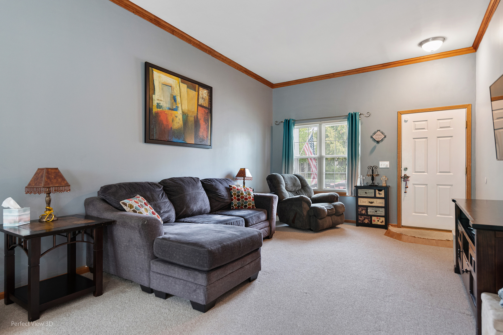 5802 Emerald Pointe Drive Plainfield, IL 60586 - Photo 3 of 28 a living room with furniture and a window