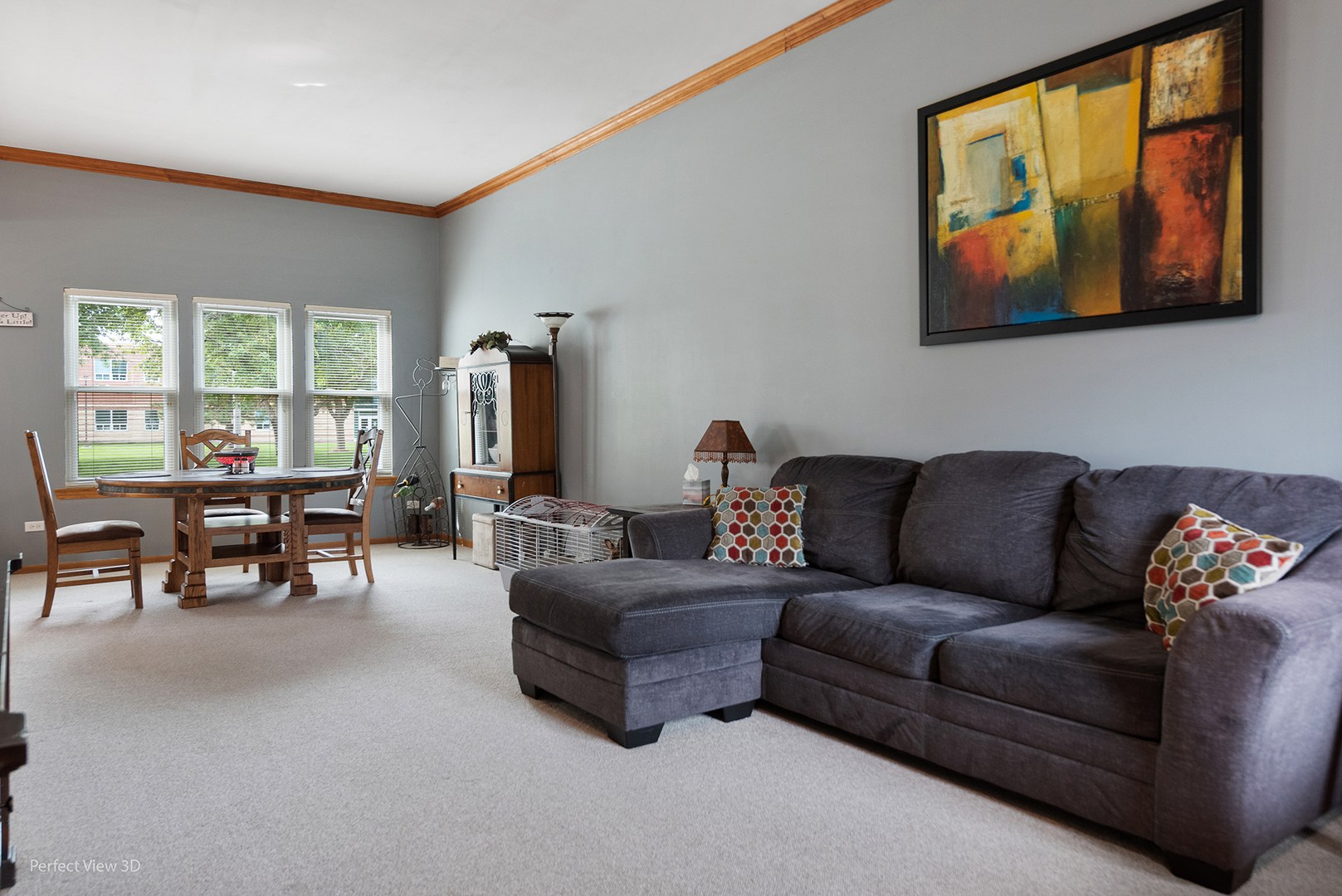 5802 Emerald Pointe Drive Plainfield, IL 60586 - Photo 4 of 28 a living room with furniture and a large window