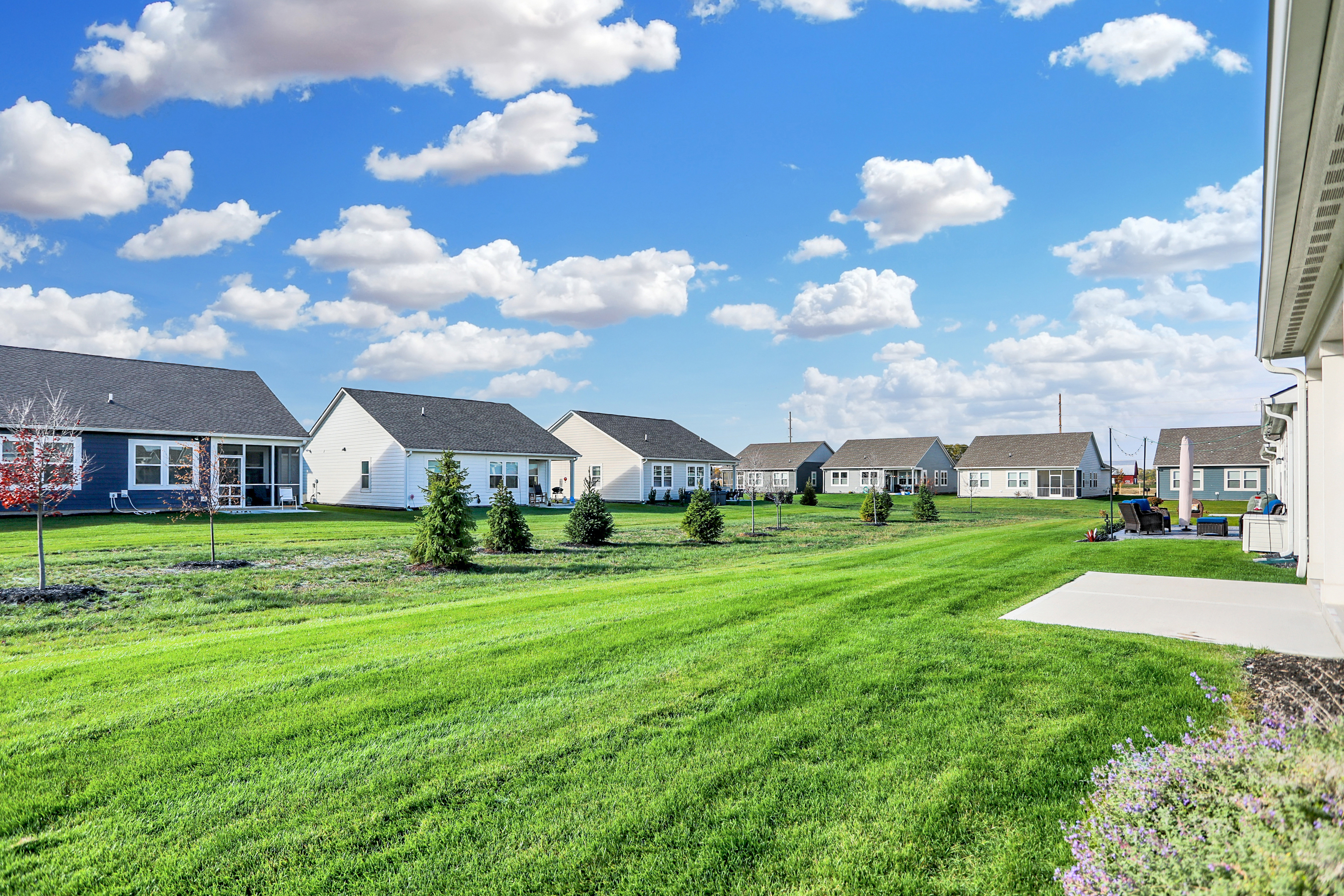 809 Ehrlich Lane Westfield, IN 46074 - Photo 47 of 47