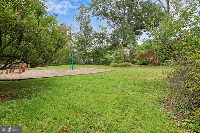a view of a field with grass and a tree