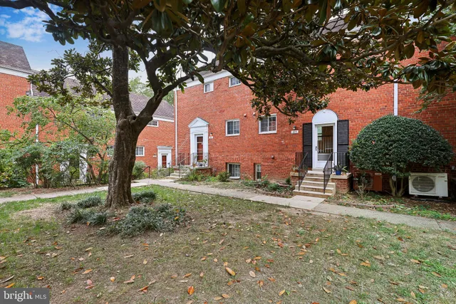 a tree in front of a white house