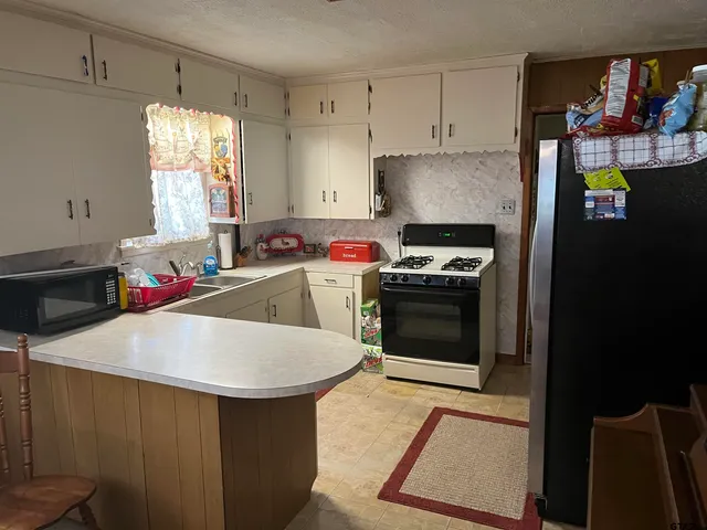 a kitchen with a sink a stove and refrigerator