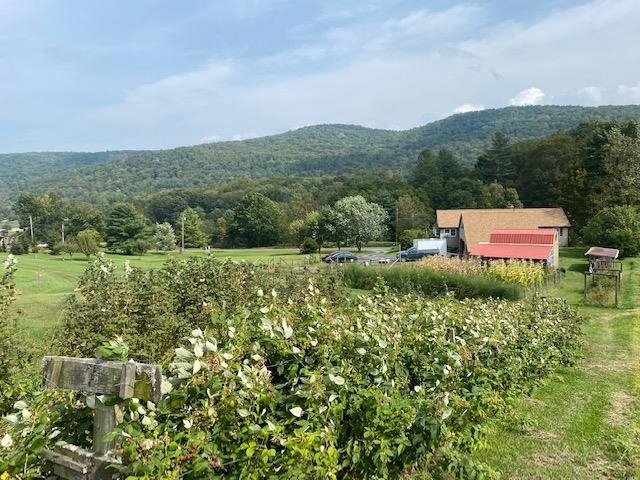 212 Stony Hill Road Guilford, VT 05301 - Photo 17 of 31 Gallery Image 17